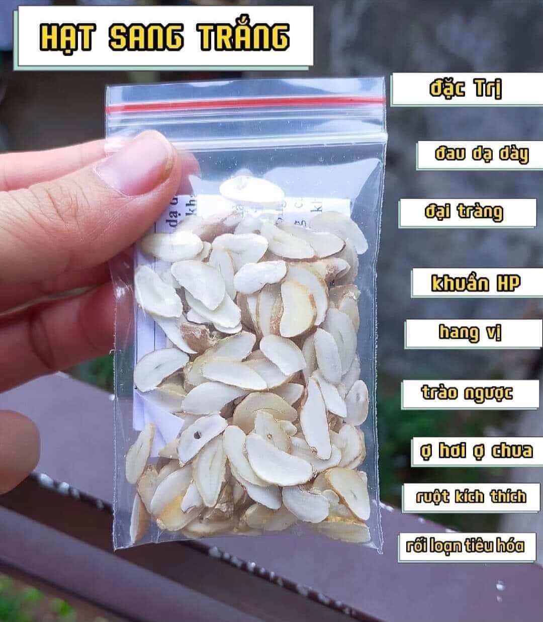 Hạt sành dạ dày hạt già ruột trắng 1 gói 10 hạt cắt lát sẵn