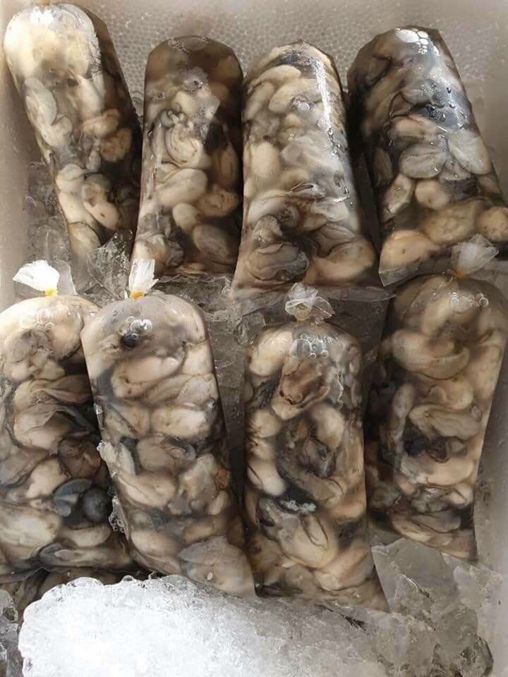 Hào sữa tách vỏ 500g (giao tphcm) đặt hoả tốc