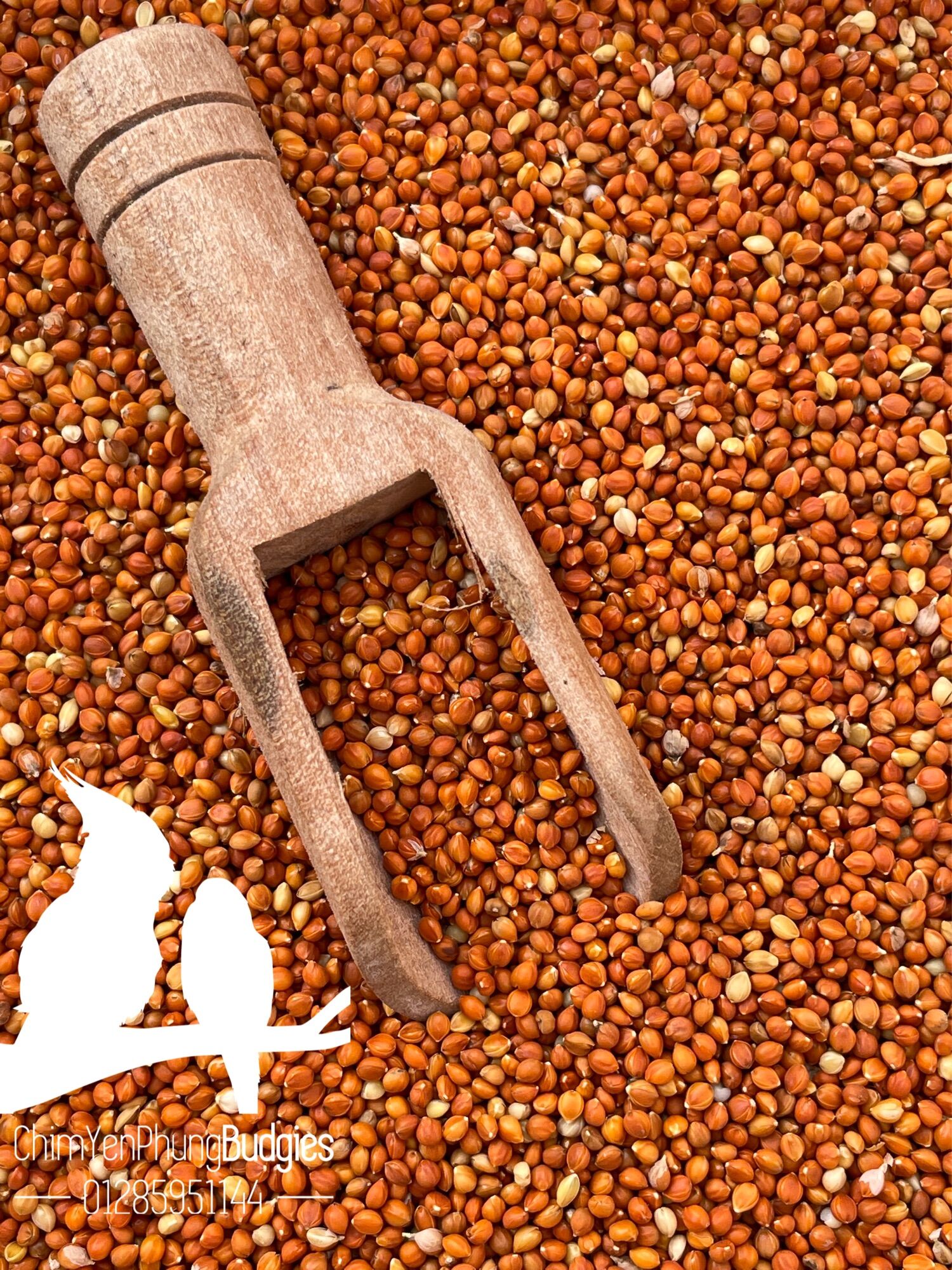 500g kê đỏ nhỏ cho chim cảnh.