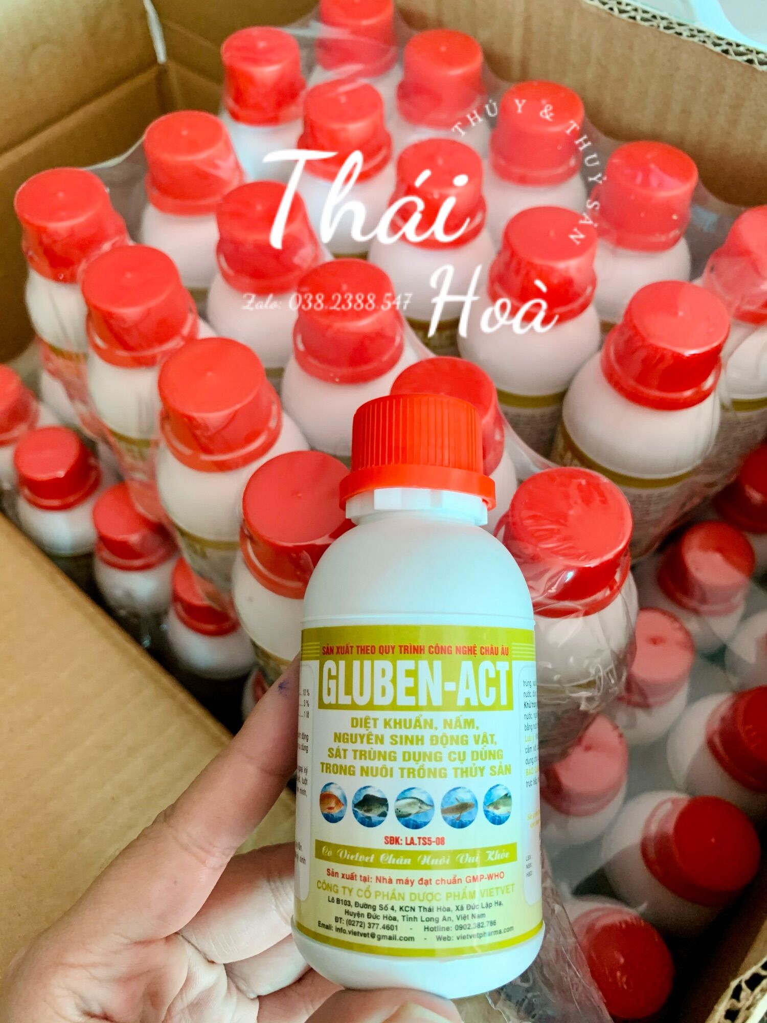 Gluben ACT 100ml