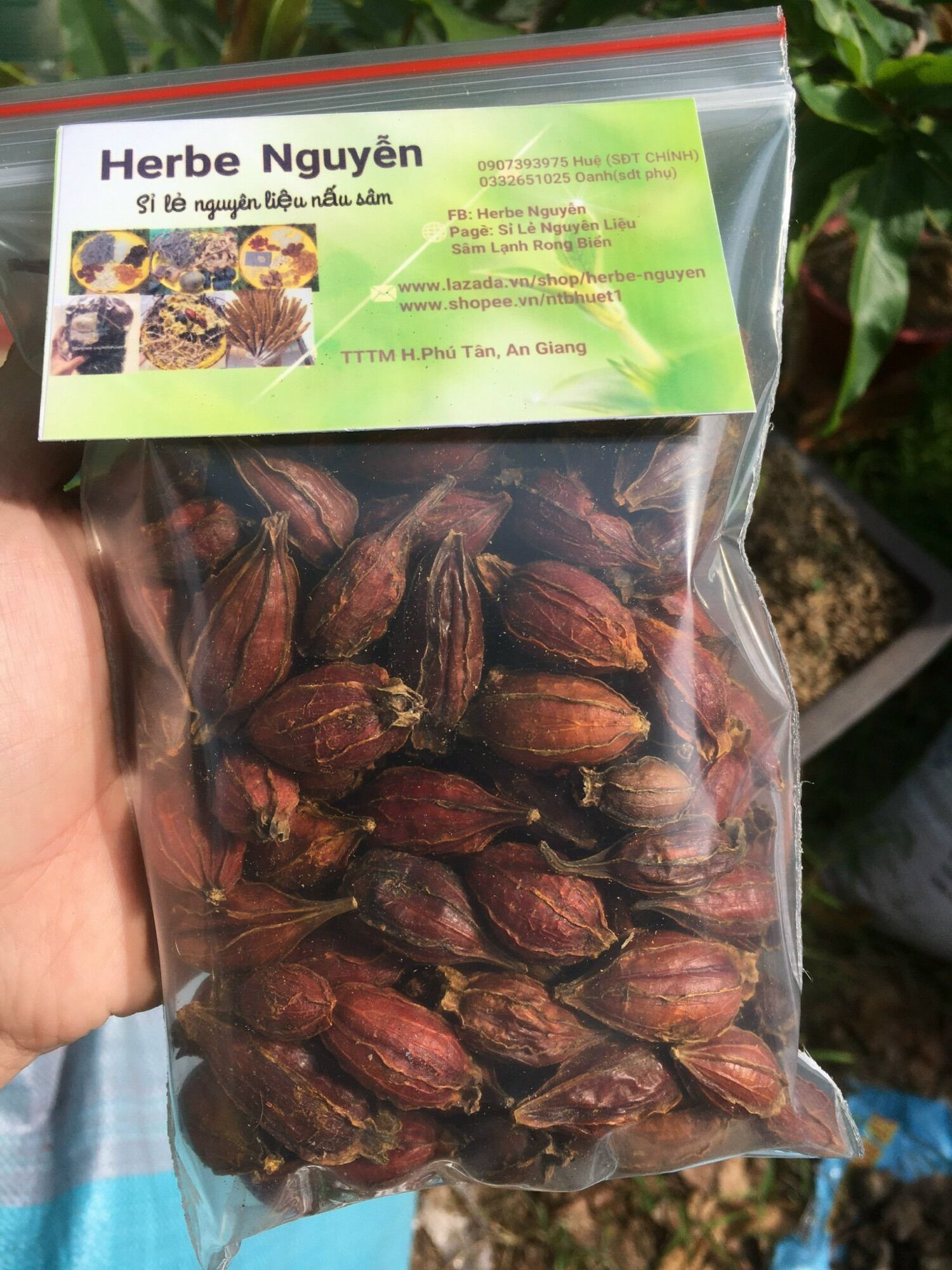 Trái dành dành khô 100g