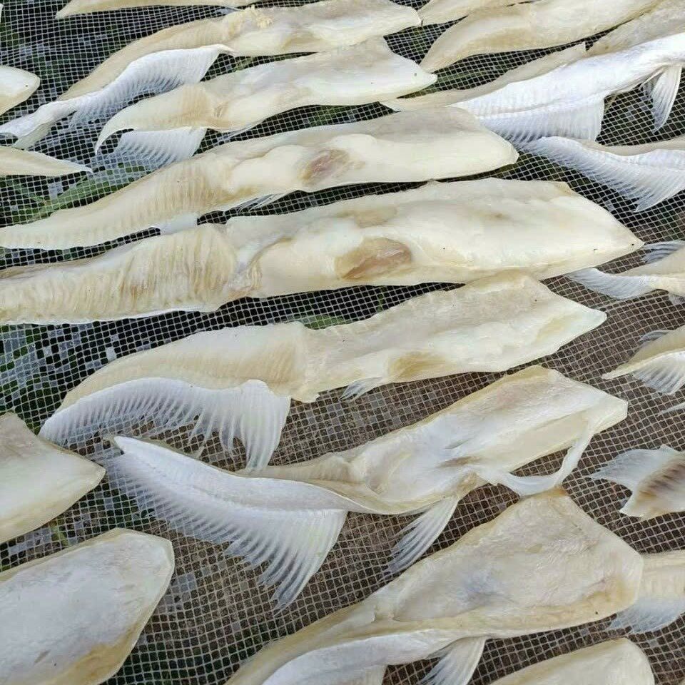 ỨC CÁ DỨA 3 NẮNG 500gr