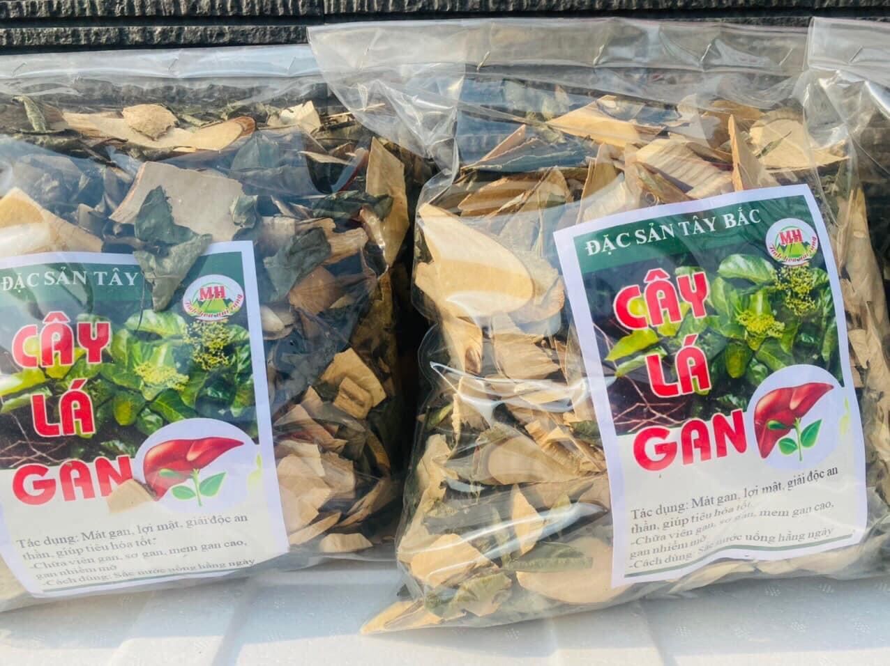 Dược liệu Tây Bắc: Cây lá gan