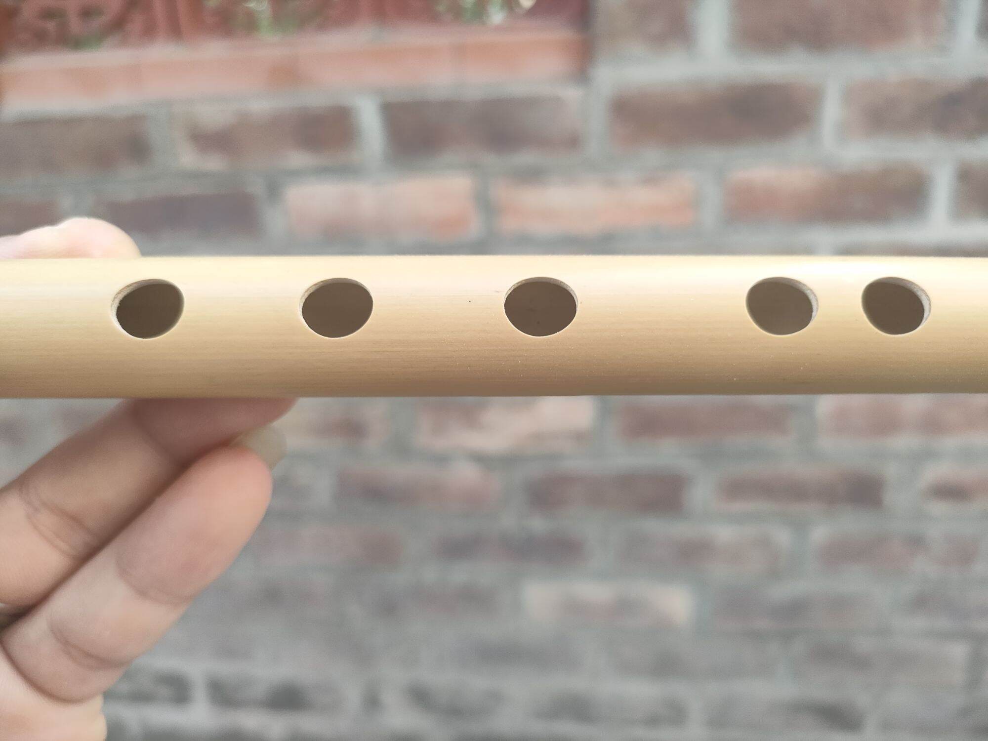 Sáo si giáng