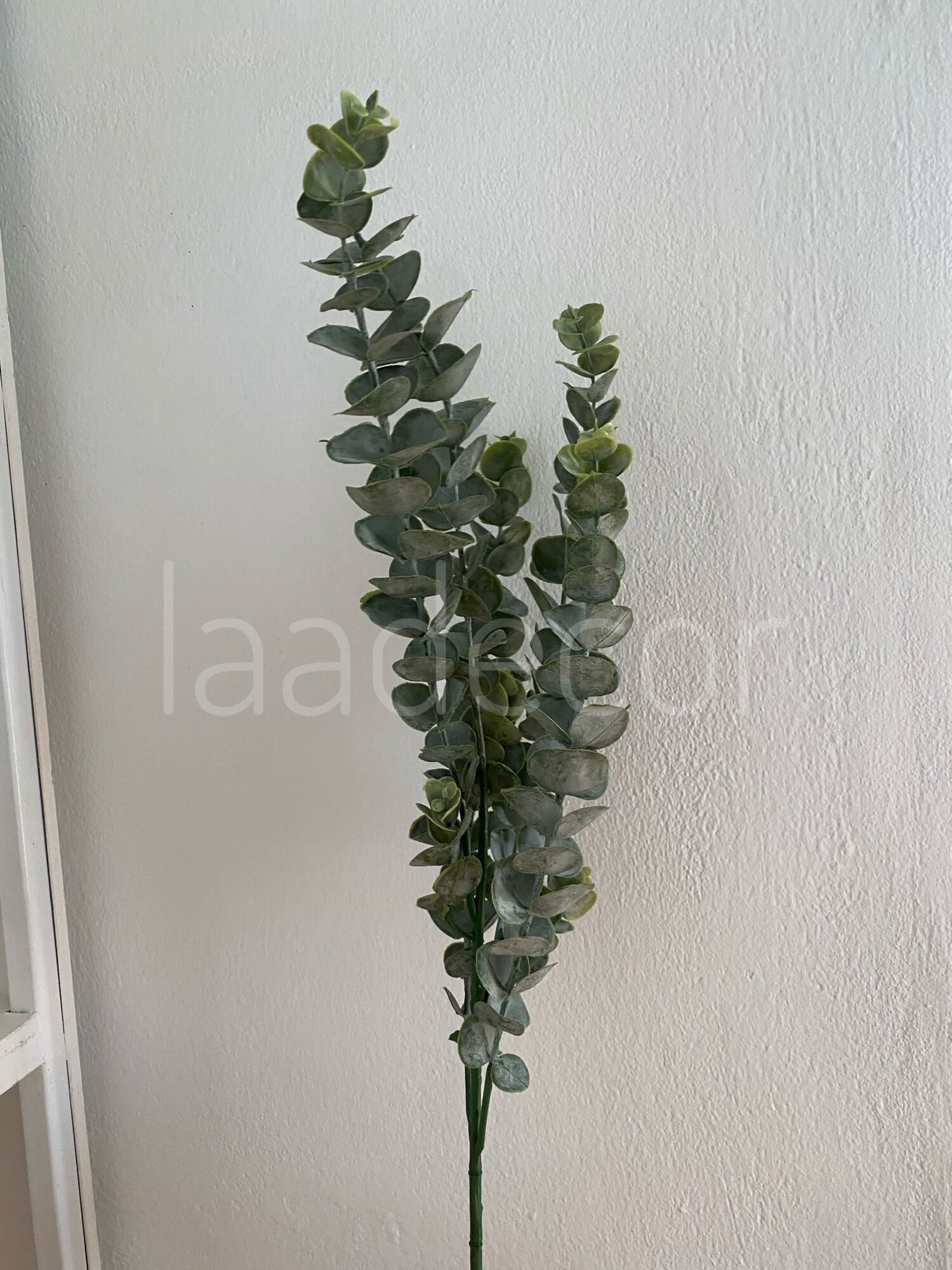 Lá cây bạch đàn trang trí - decor (Ảnh+video thật)