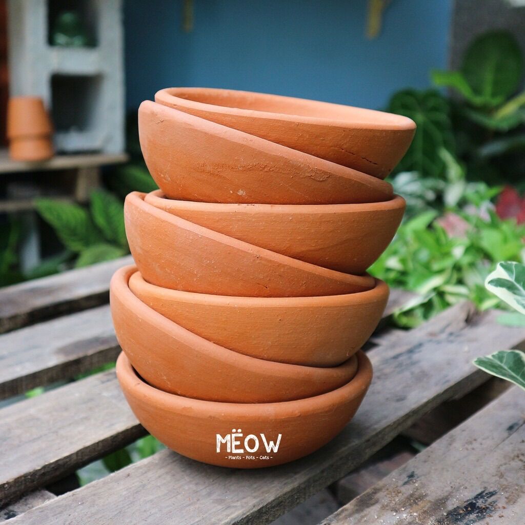 COMBO 7 chậu đất nung Chảo nhỏ 13x5
