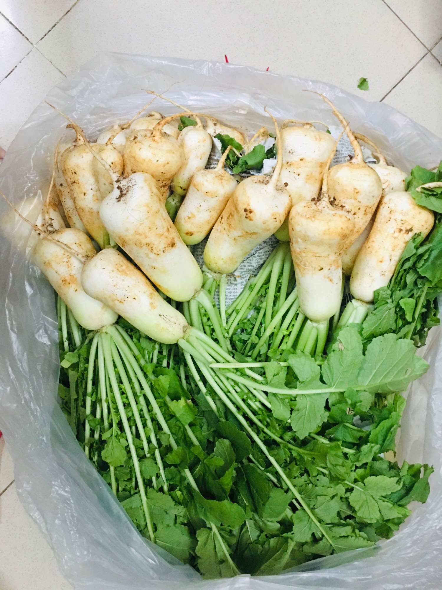 Kimchi củ cải baby (altari) hộp 500gr