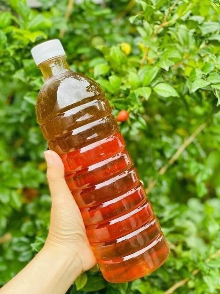 Mật ong hoa café . chai 1 lít.