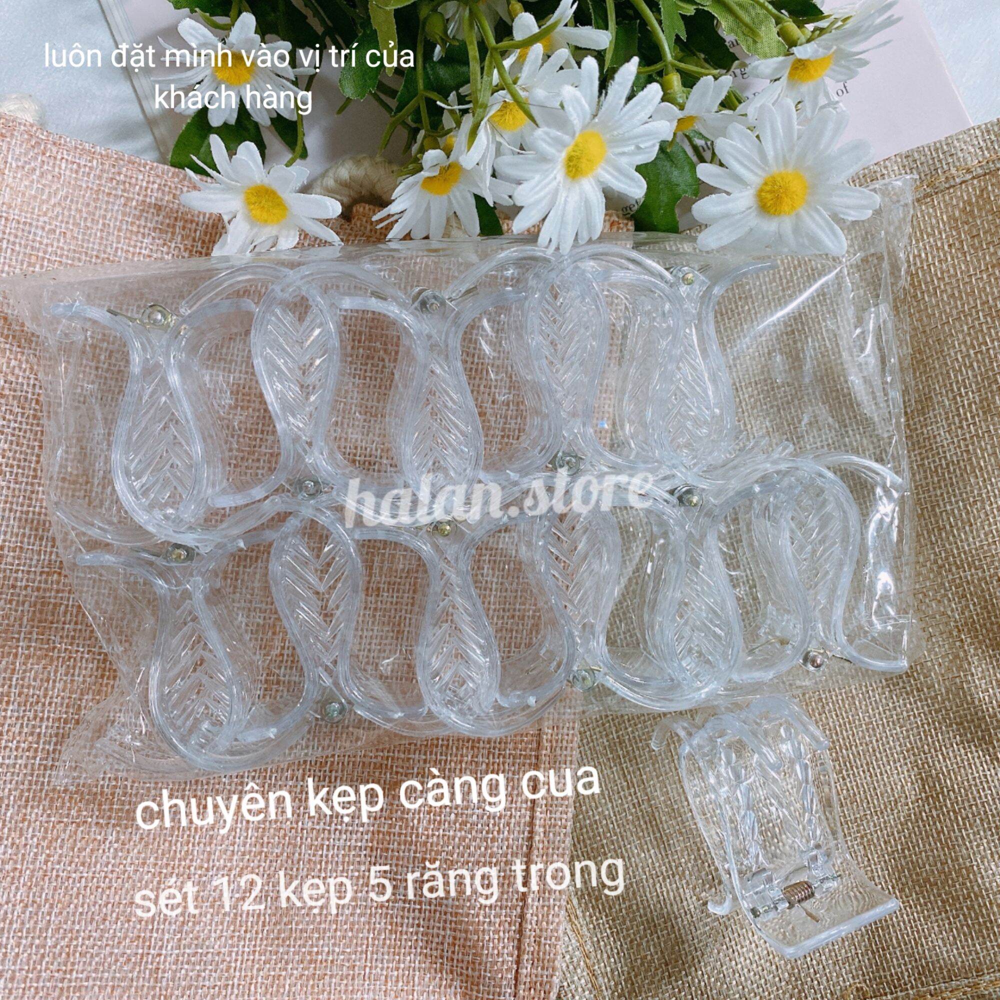 Vỉ kẹp tóc càng cua 5 răng trong 12 cái