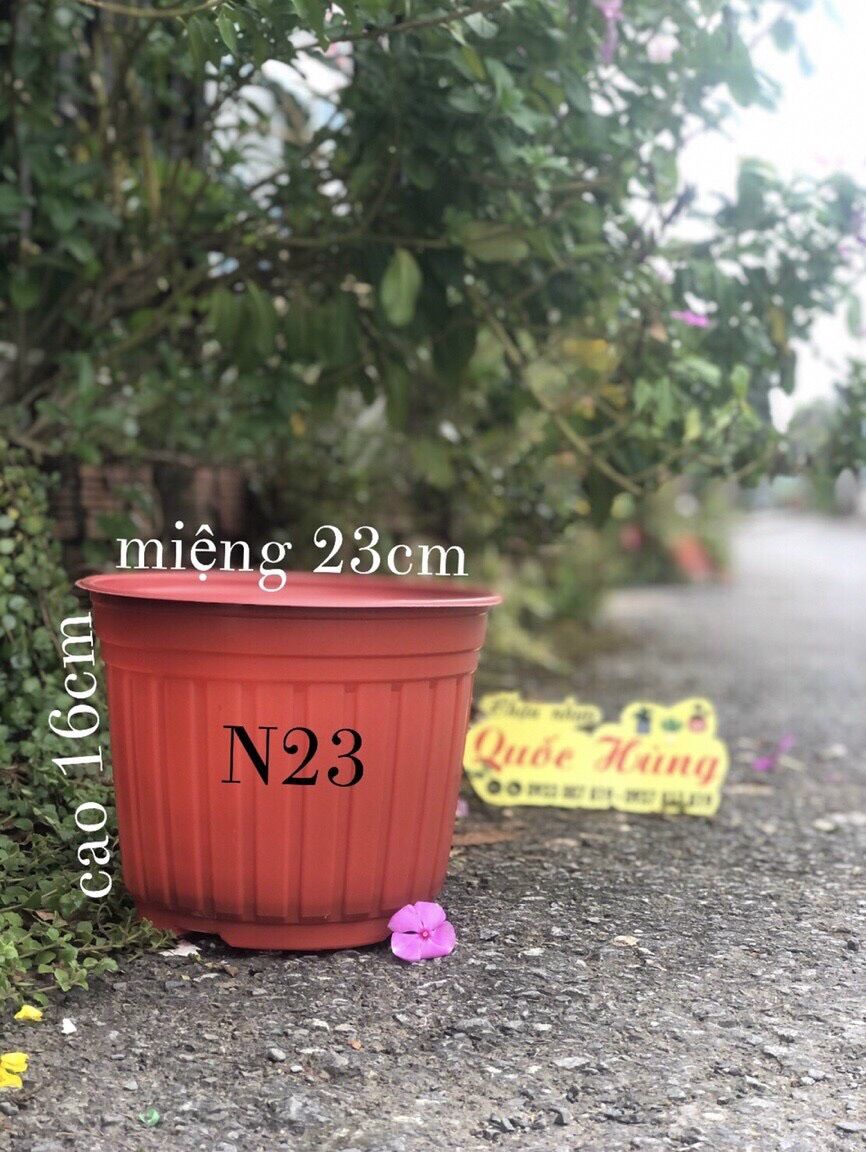 Combo 10 chậu nhựa màu Nâu trồng sen đá N23