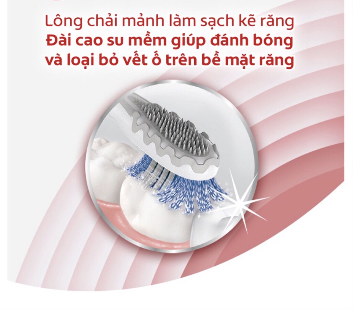 Bàn Chải Đánh Răng Điện Colgate Sonic 360 Charcoal [ công nghệ sóng âm 20000 lượt chải/phút loại bỏ các mảng bám và vi khuẩn ]