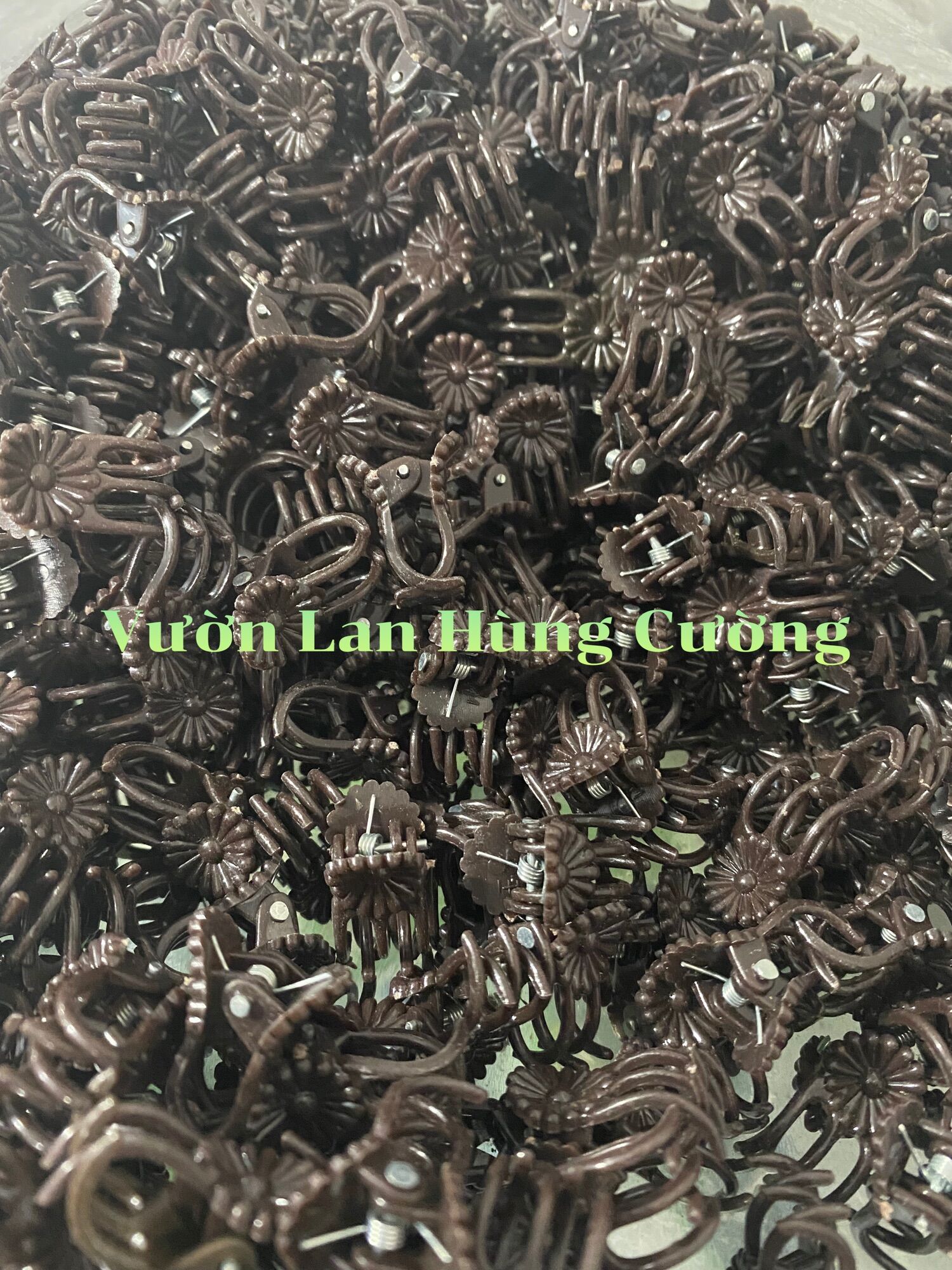 Kẹp bướm cố định lan 100g