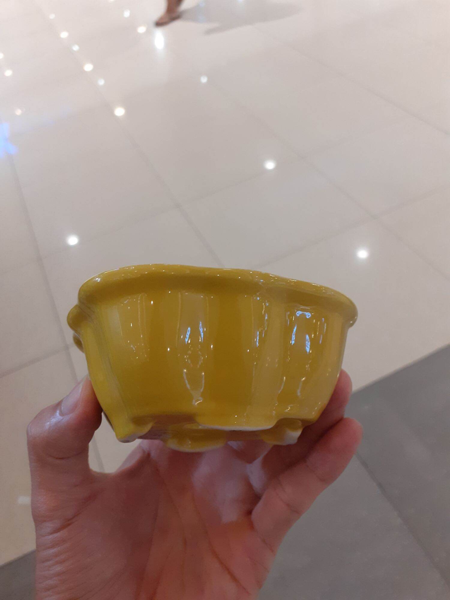 Chậu bon sai mini