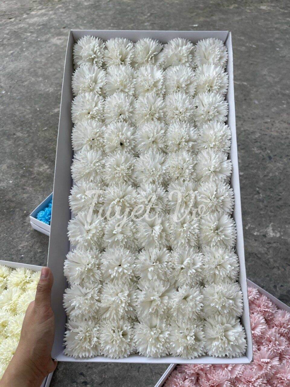 Hộp 50 bông cẩm chướng xù, chất liệu hoa sáp thơm
