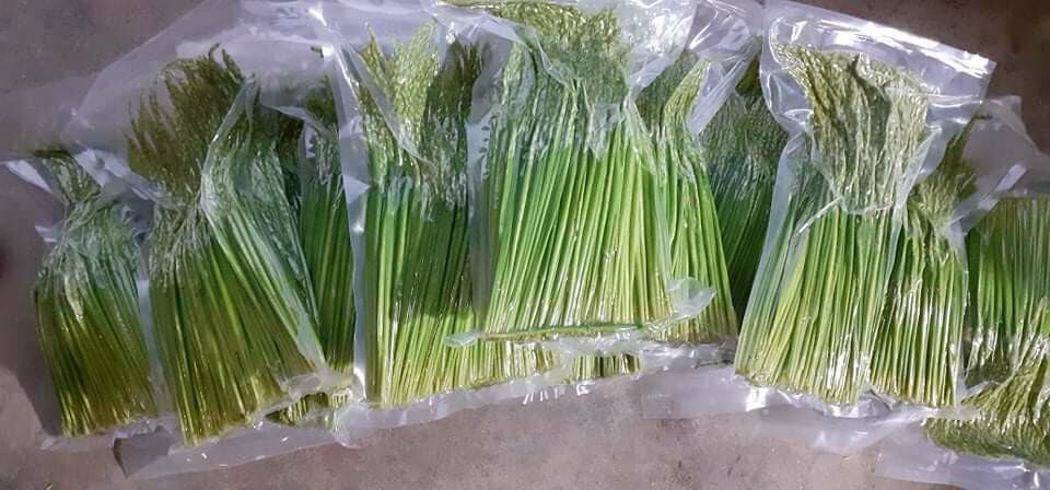 Đòng đòng ngâm ruou