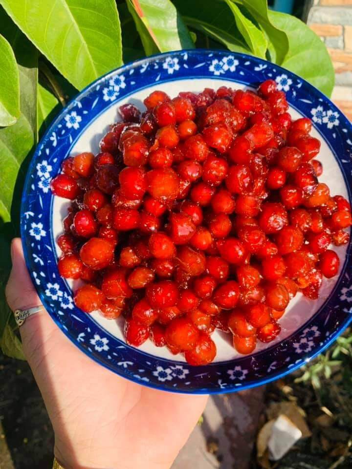 Mứt chùm ruột 500g