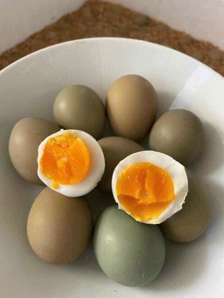 10 trứng chim trĩ ăn nhà nuôi
