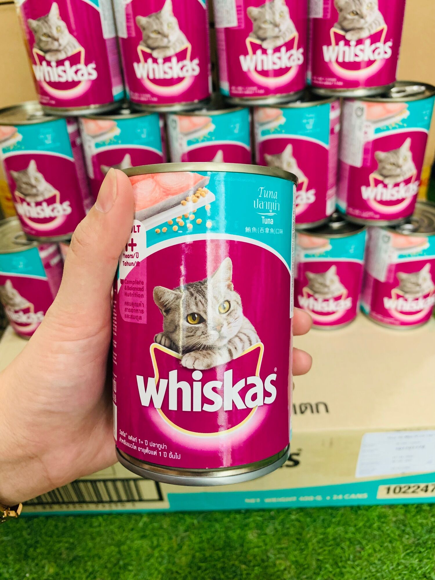 Combo 24 lon Pate cho mèo Whiskas 400g mix 2 vị