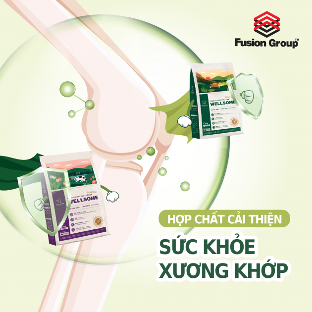 (1.2KG) HẠT THỨC ĂN WELLSOME DÀNH CHO CHÓ LỚN