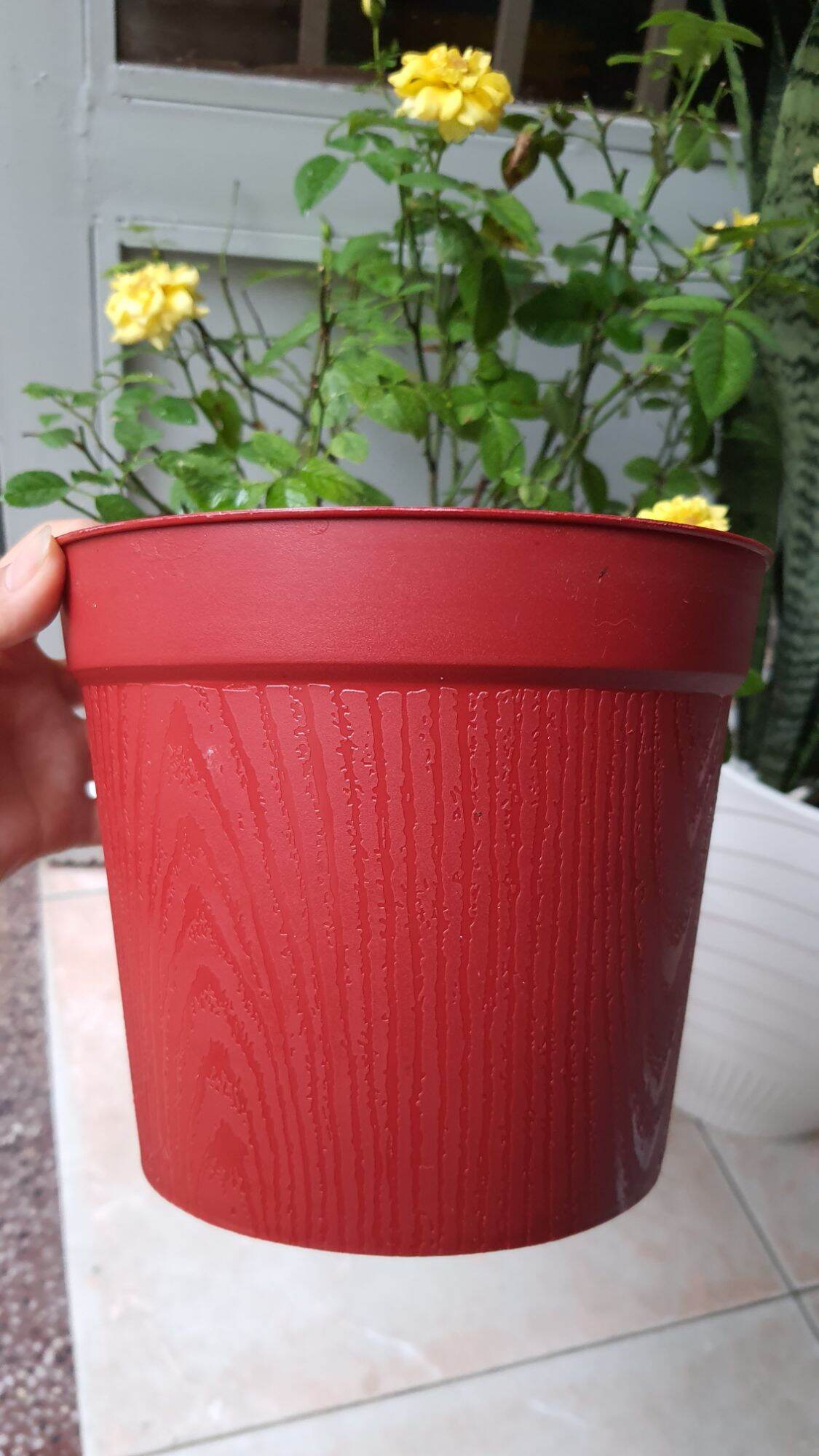 chậu nhựa vân gỗ size 18cm