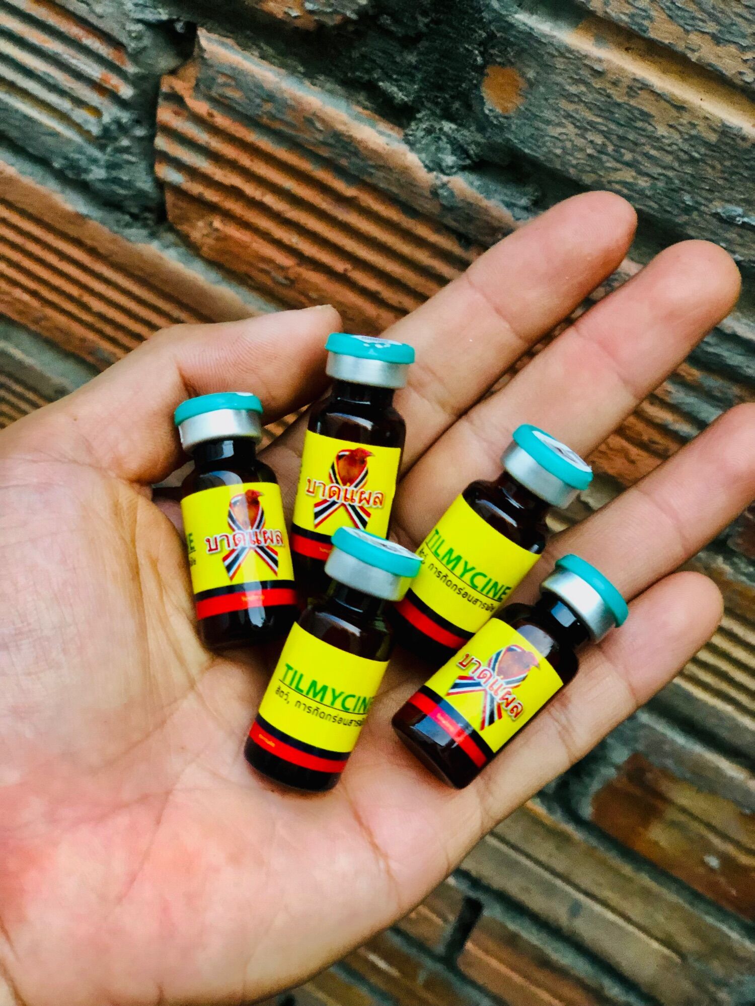 Tilmycine khò khè, khẹt, sổ mũi, sưng phù đầu