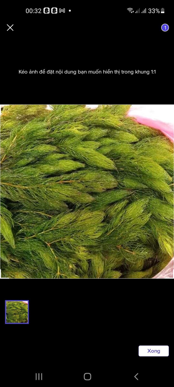 rong đuôi chồn