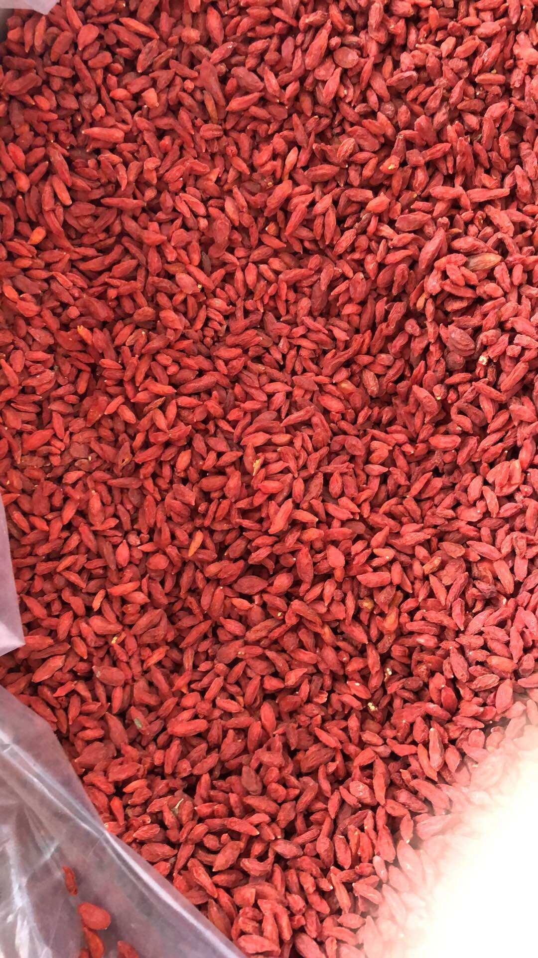 Kỷ Tử Đỏ Ninh Hạ  Khô Túi 100g