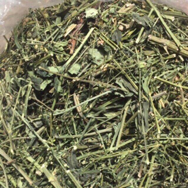 Xuyên tâm liên khô 1kg