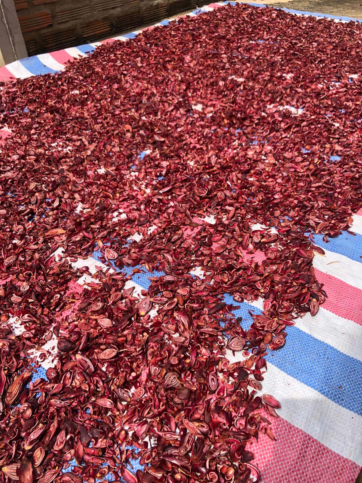 1kg sâm đại hành khô Đà Lạt(thái máy)