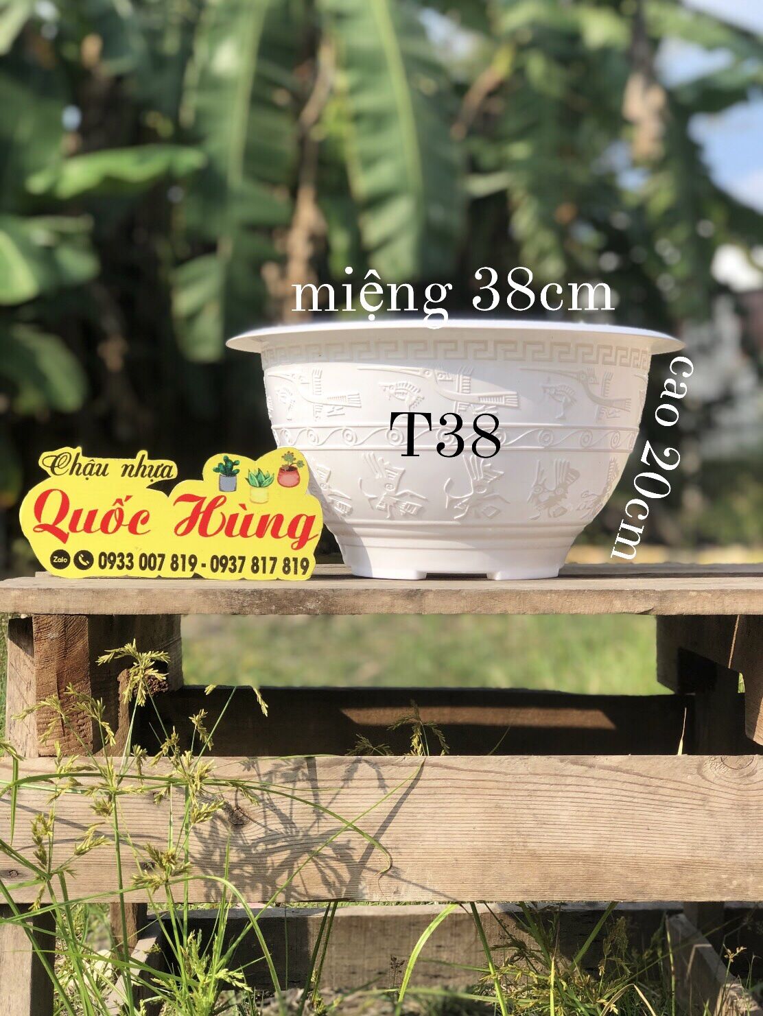 Chậu nhựa trồng cây T38 Trắng