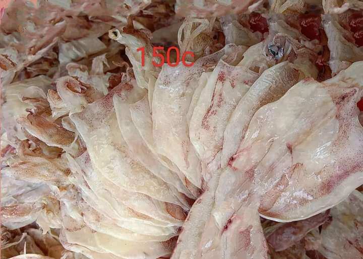 khô mực 500gr có quà tặng