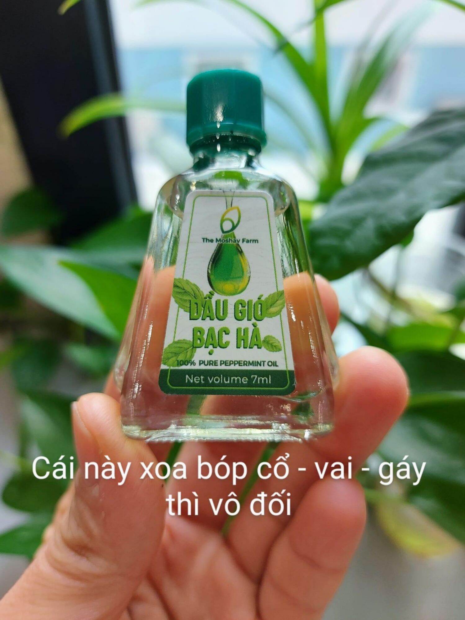 Dầu Bạc Hà - The Moshav Farm