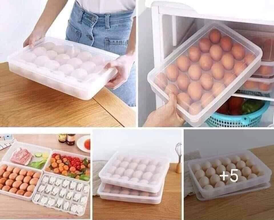 Hộp đựng trứng việt nhật 24 quả 23x16cm