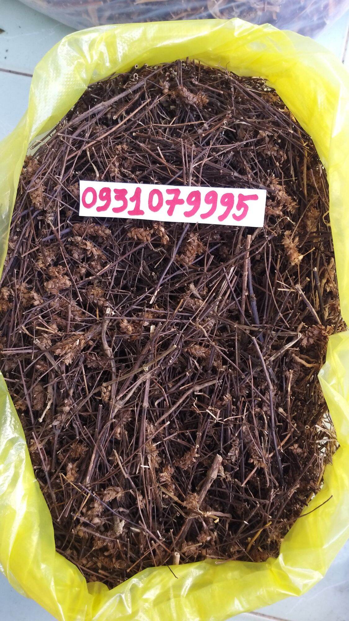 cây nhan trần nam phơi khô 1kg