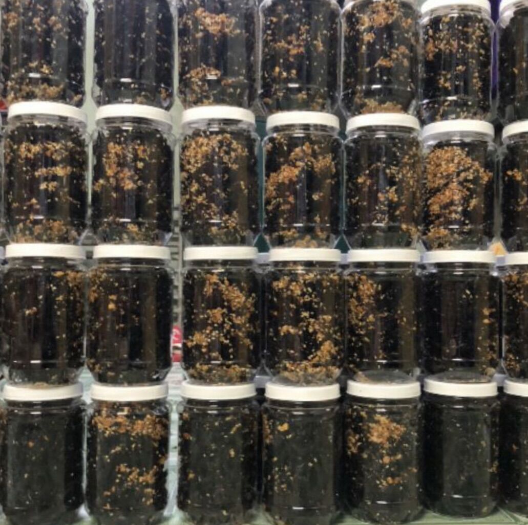 Rong biển cháy tỏi 100gam (1 hủ)