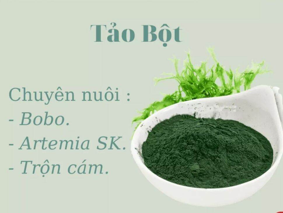 500g Bột tảo xoắn SPIRULINA thức ăn ARTEMIA cá tép cảnh