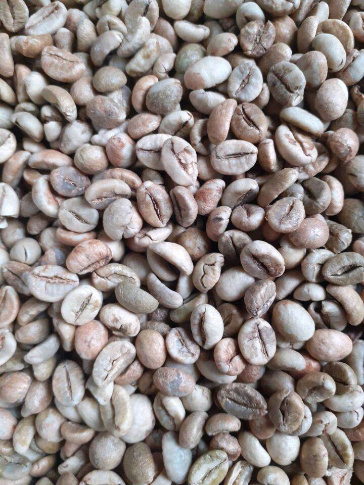 Hạt cafe robusta