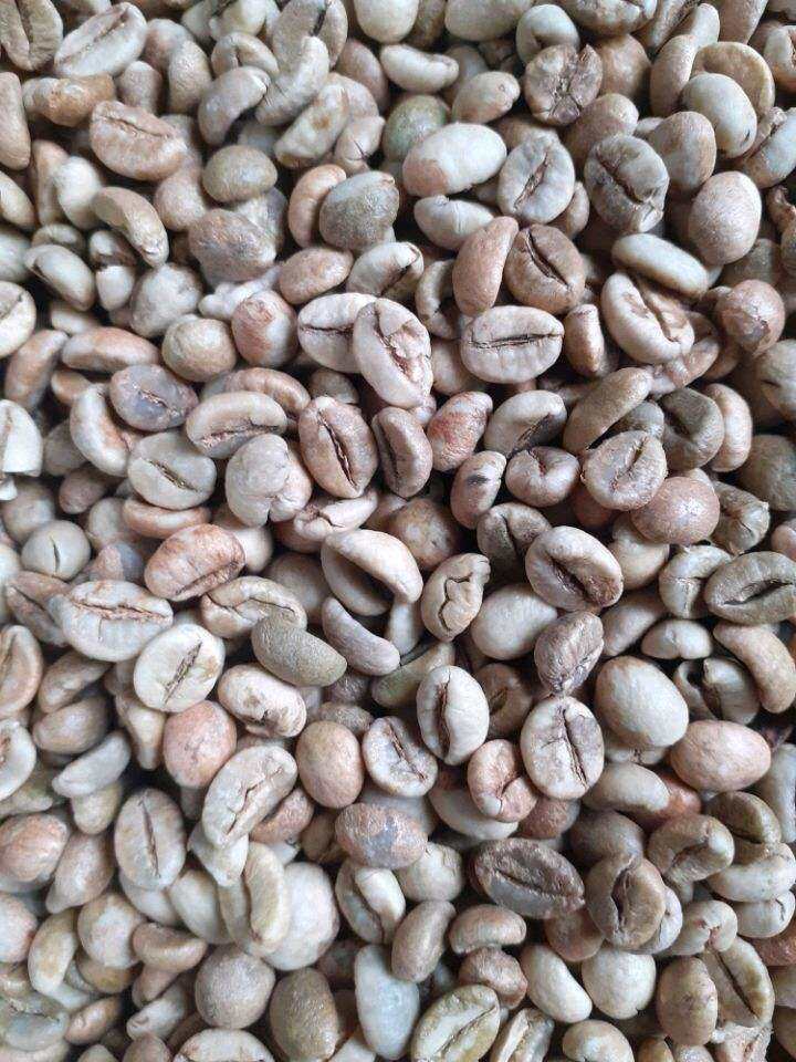 hạt cafe robusta (1 kg chưa rang)