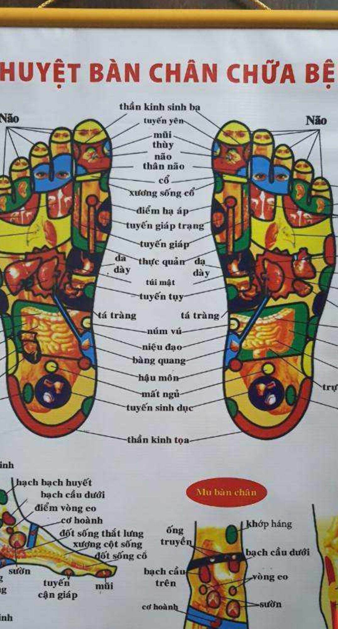 búa gỗ gõ huyệt chân