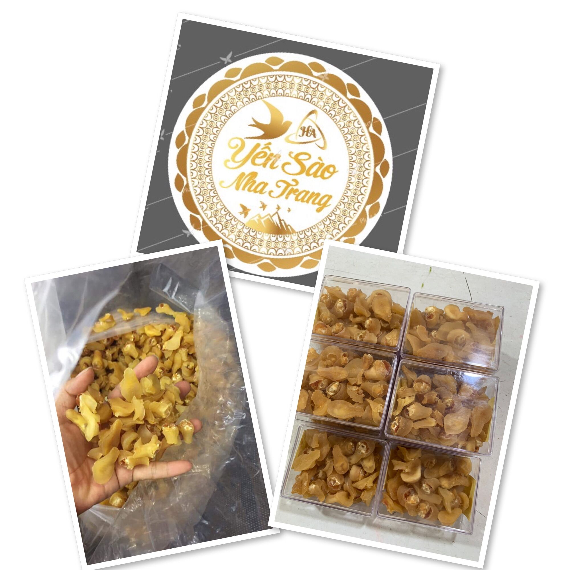 100g Bào ngư khô