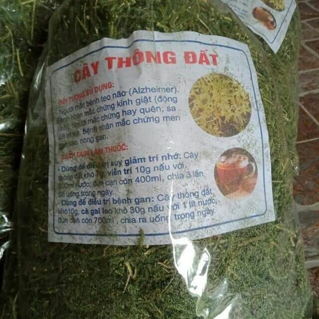 1kg cây thông đất