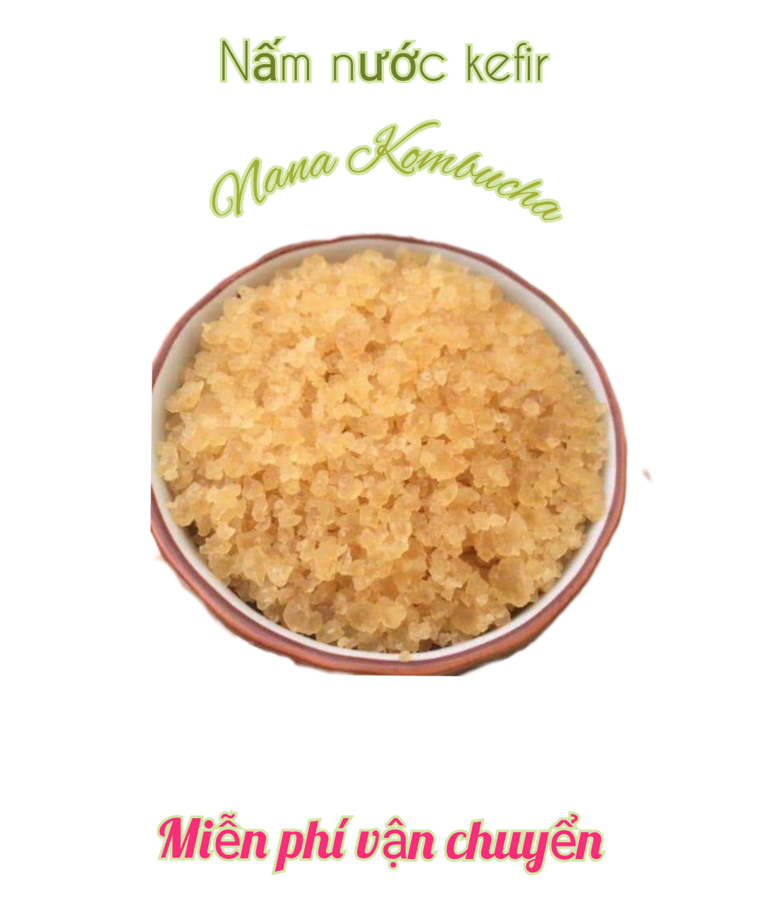 Water Kefir_ Nấm Nước Kefir _ Làm Kefir Nước Dừa_ Nước Ngọt Có Ga