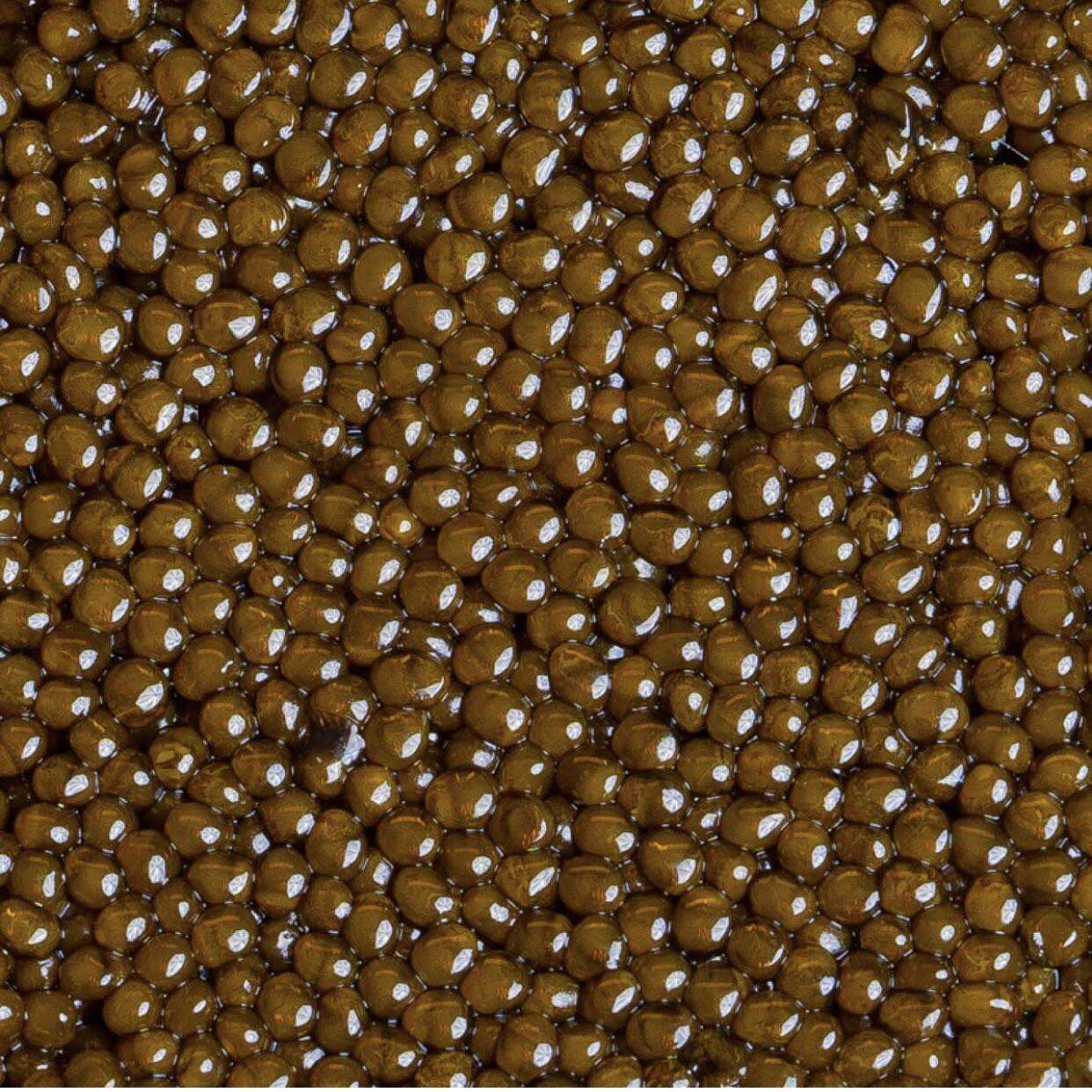 Trứng cá tầm đen caviar hảo hạng-30g(vàng hổ phách)