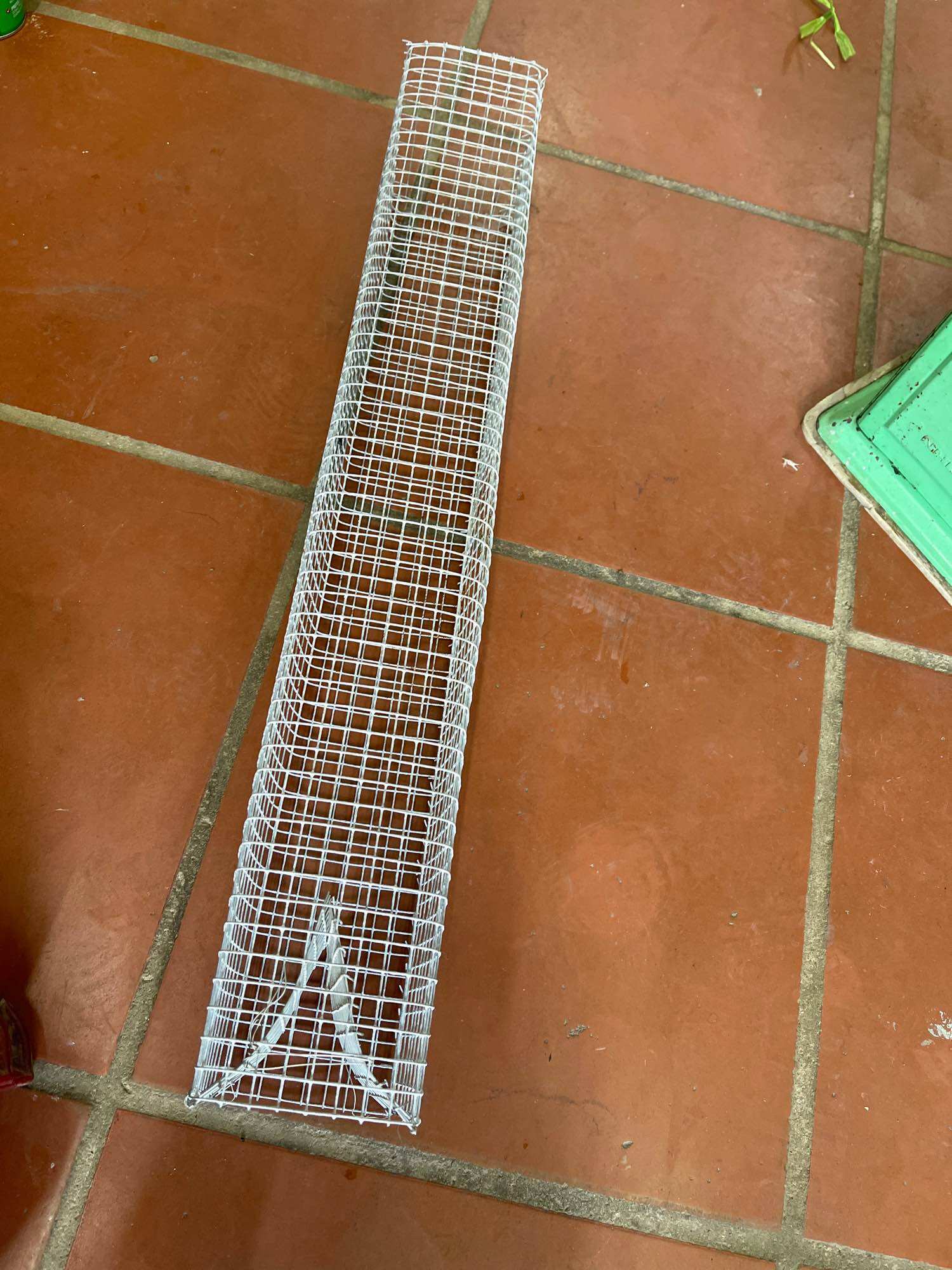 BẪY RẮN KẼM CAO CẤP