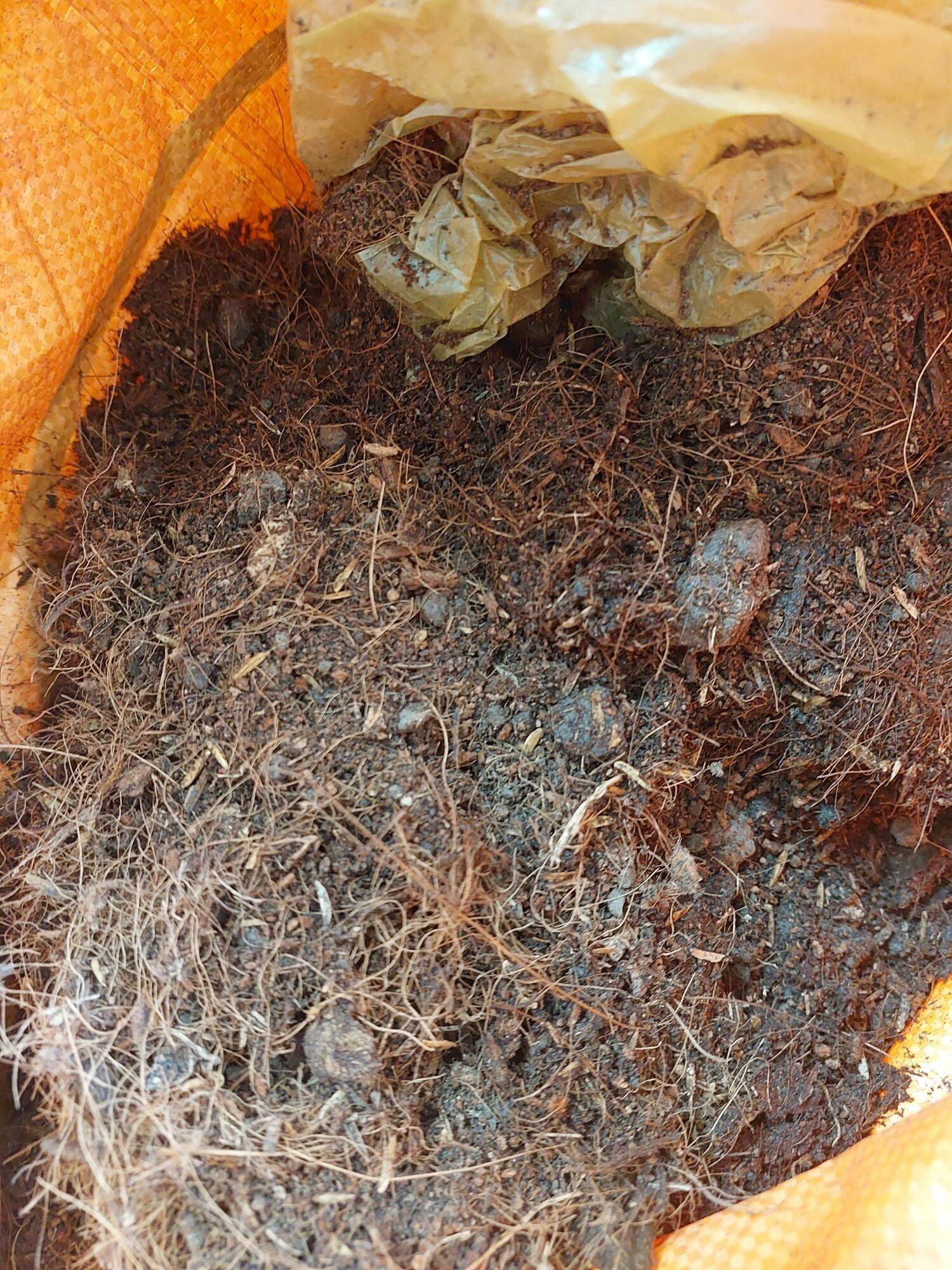 đất trồng rau, hoa,  cây cảnh BINMIX 5kg