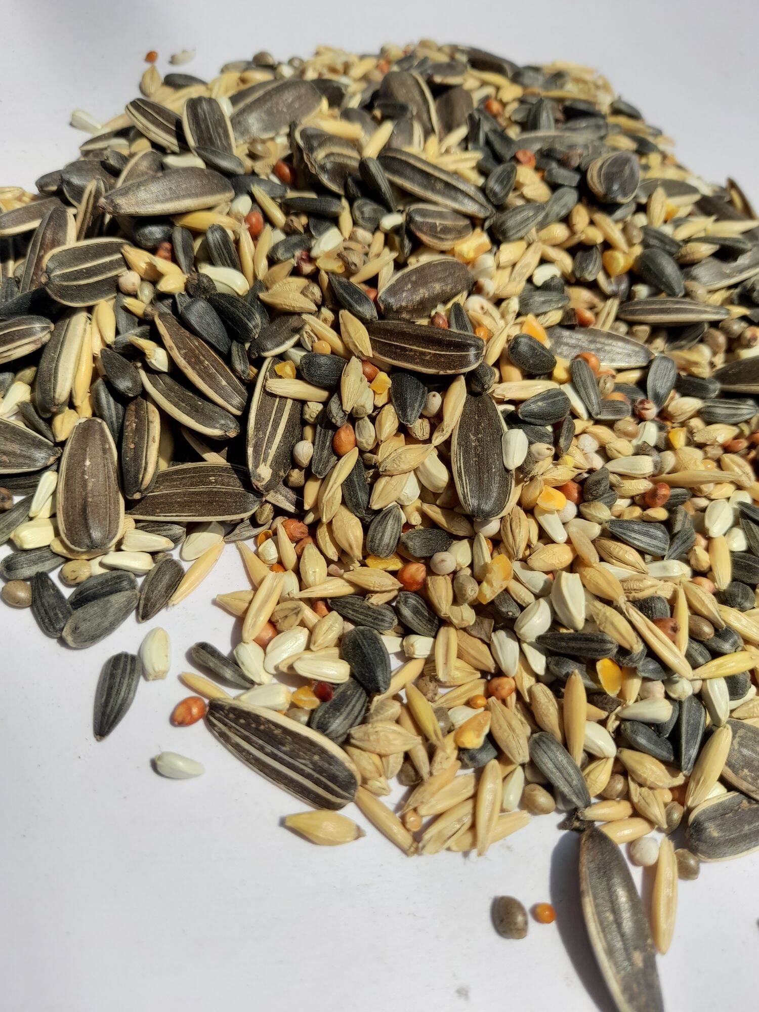 Thức ăn hạt cho vẹt 1kg
