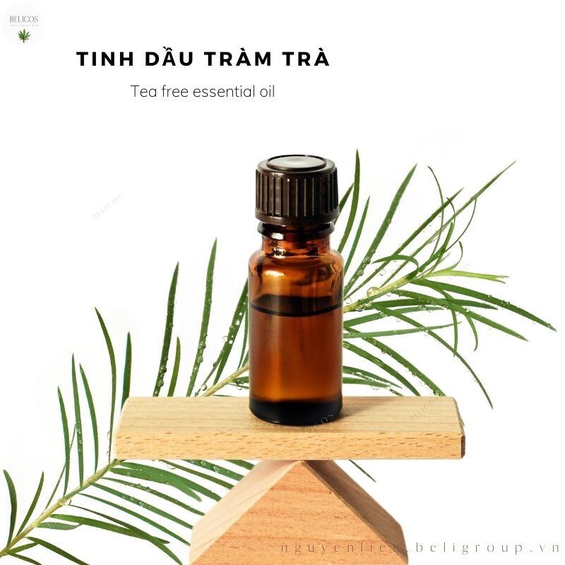 [HCM]Tinh dầu Tràm Trà (Tea Free essential oil) nguyên chất