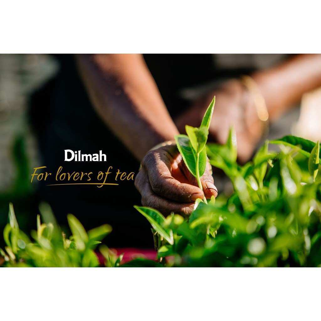 Trà Dilmah Vị Chanh - Lemon 30g