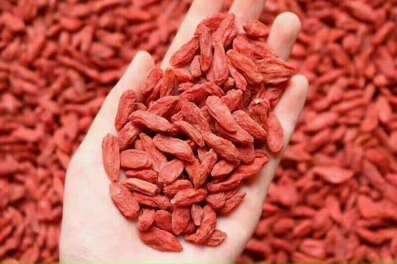 500g kỳ tử đỏ loại 1