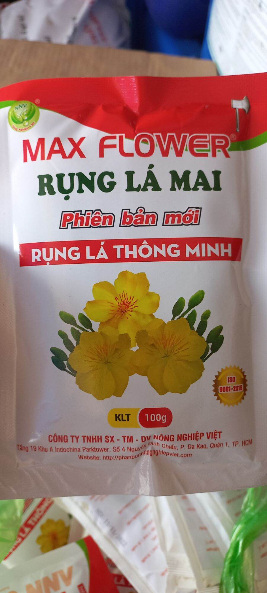 Làm mai vàng rụng lá. ra bông dịp tết